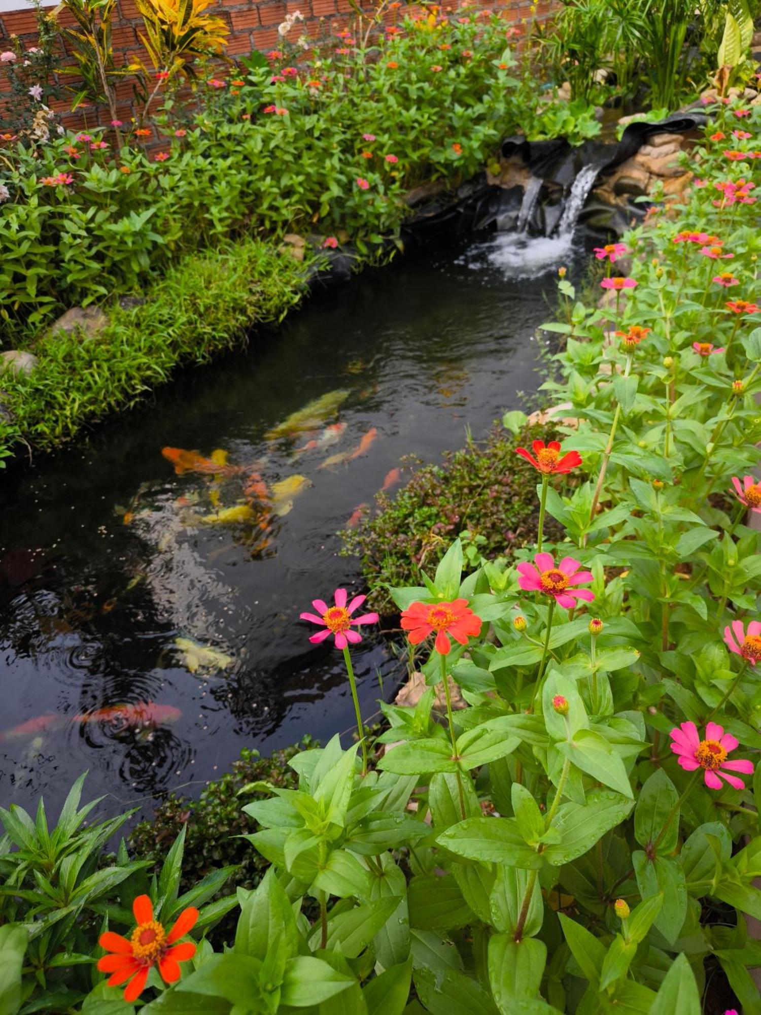 Dok Champa Resort Vang Vieng Buitenkant foto